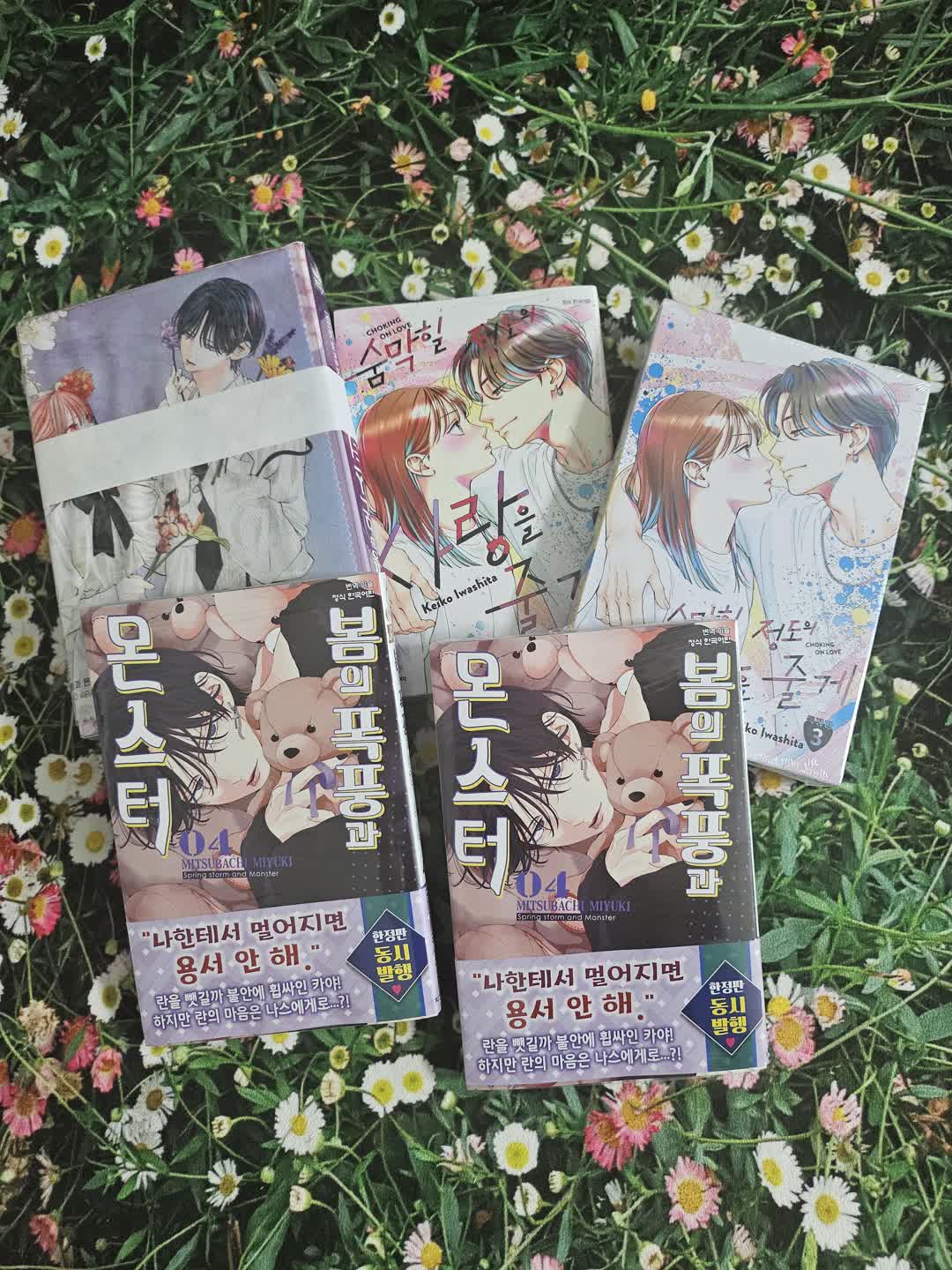 신간 정발 도서들 📚✨️