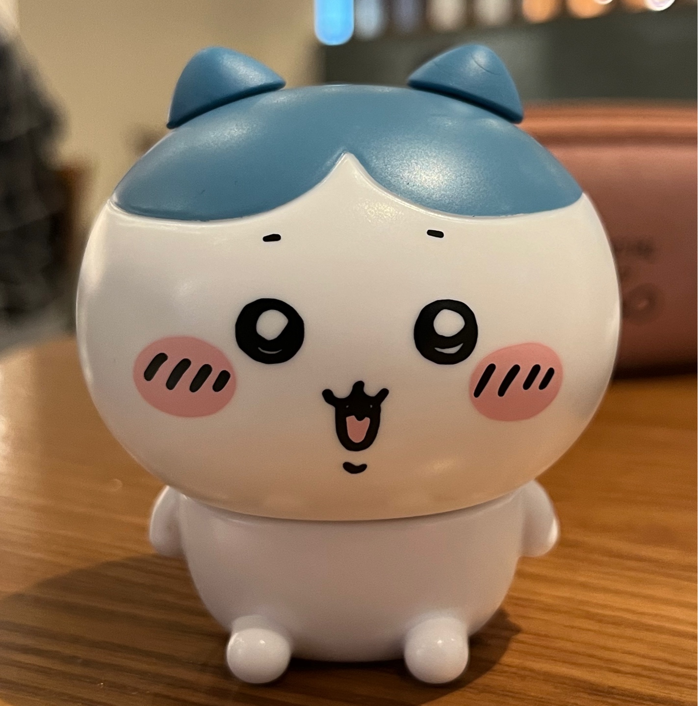 하치와레 카푸캬라🩵