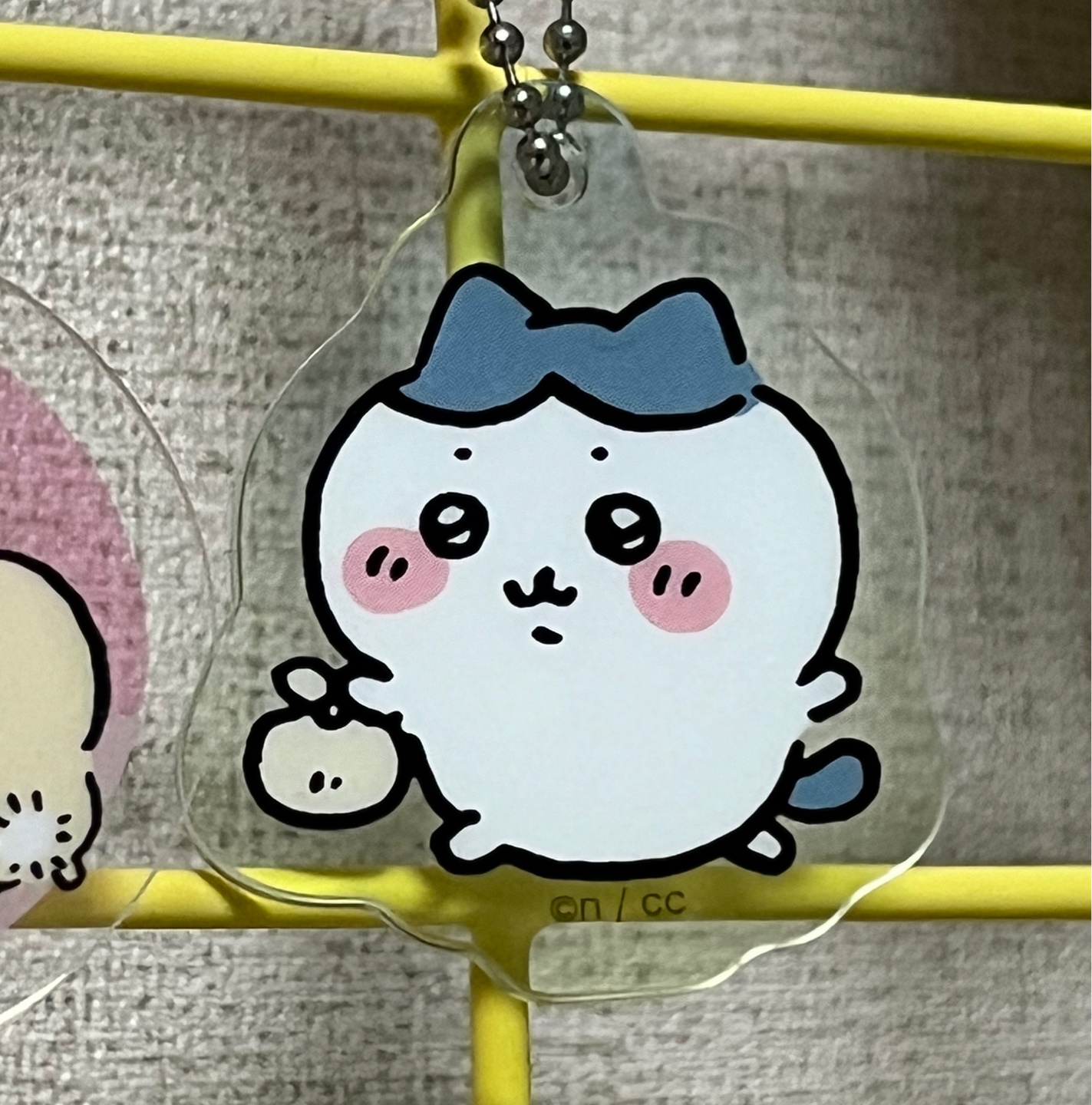 내새꾸들🫶