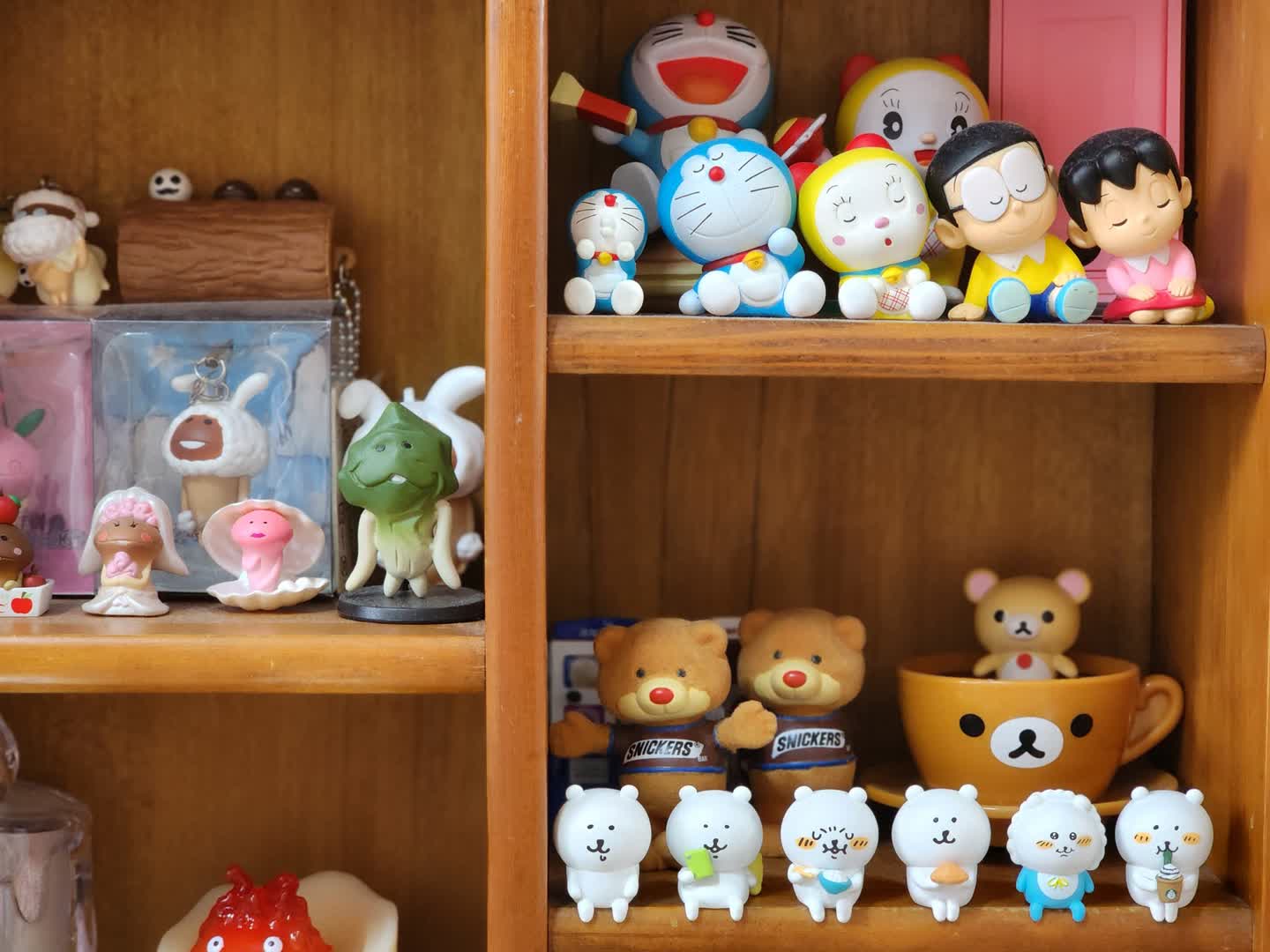 🤍담곰이🤍