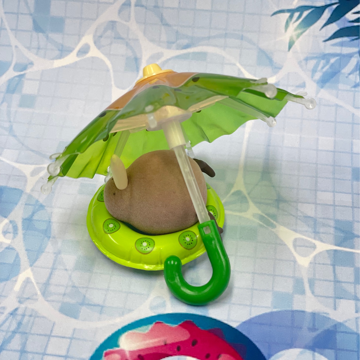 🥝⛱️ 키위 우산 활용📜
