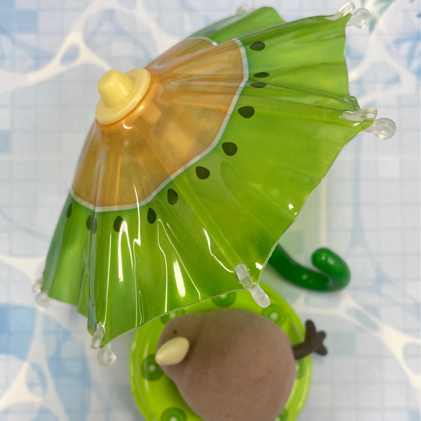 🥝⛱️ 키위 우산 활용📜