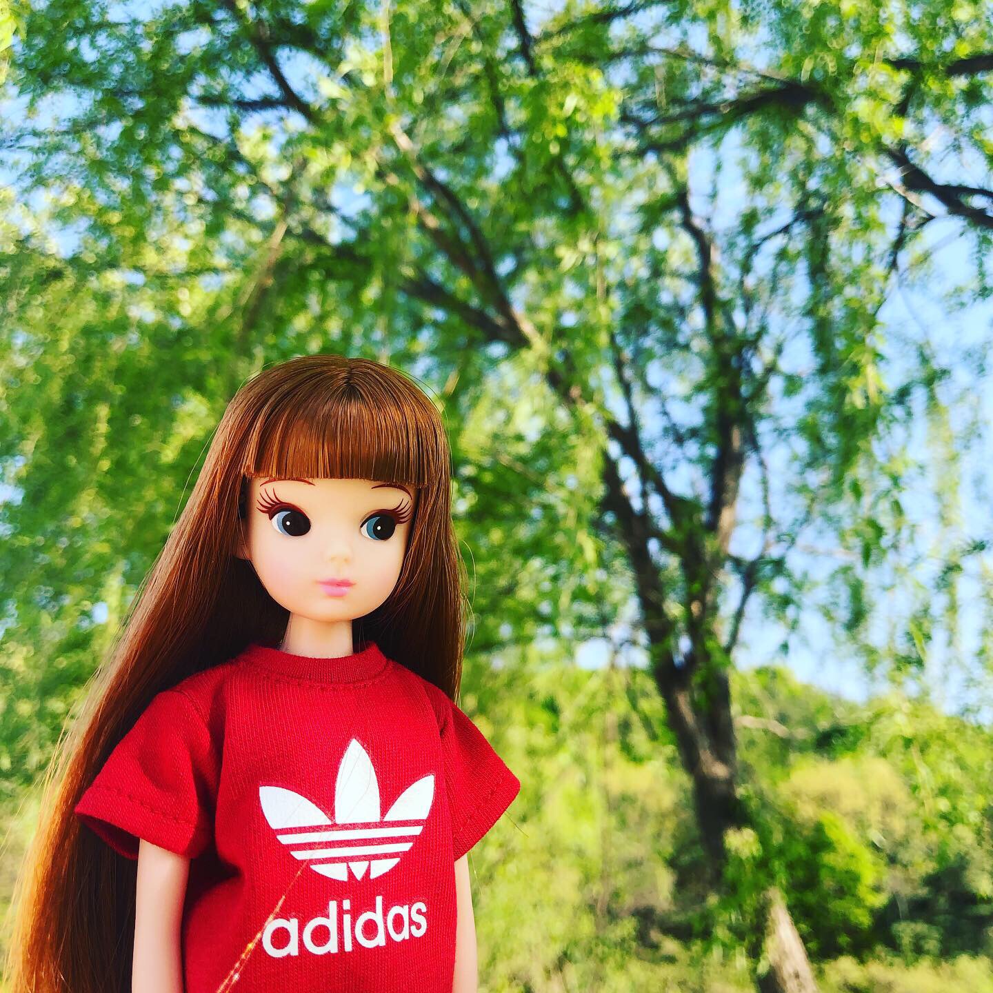 복각리카