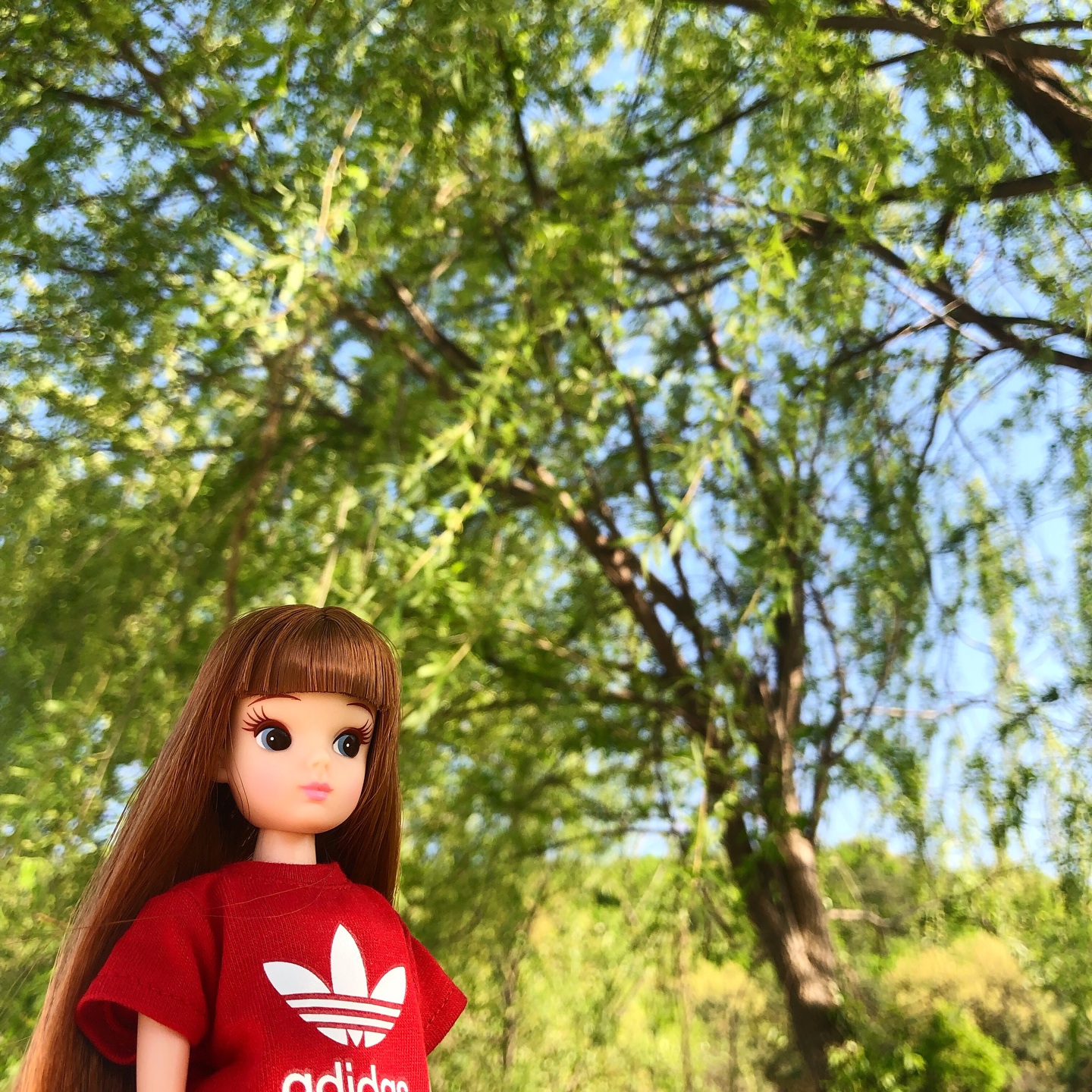 복각리카
