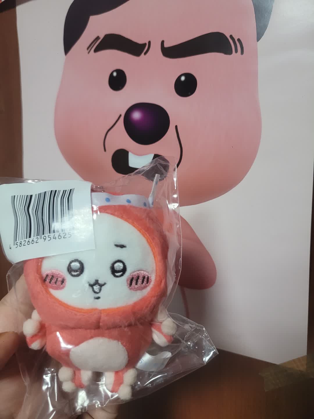 타코치이카와