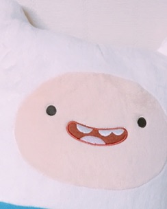 Finn the human