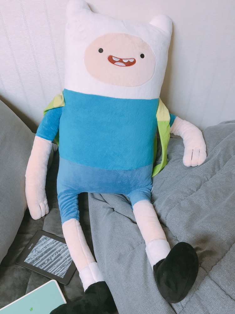 Finn the human