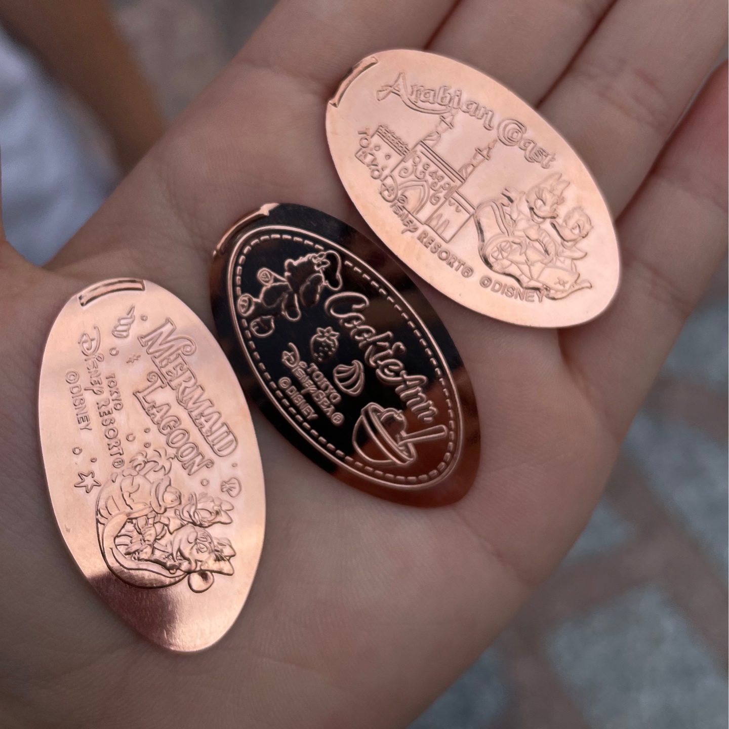 디즈니씨 기념주화🪙