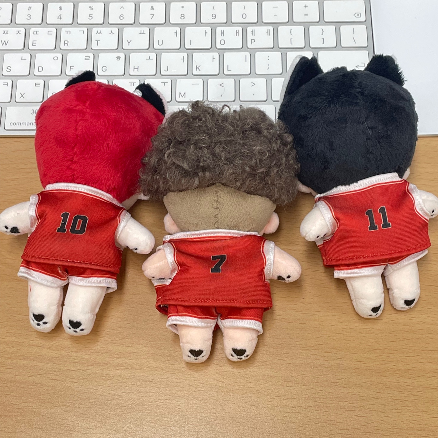 생선으로 받은 슬램덩크 10cm 인형