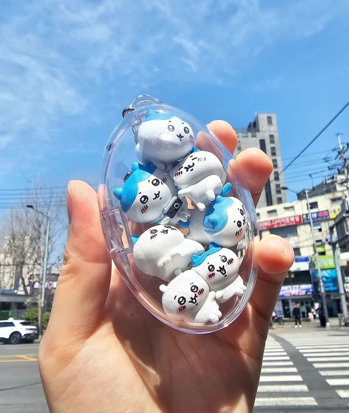 하치와레