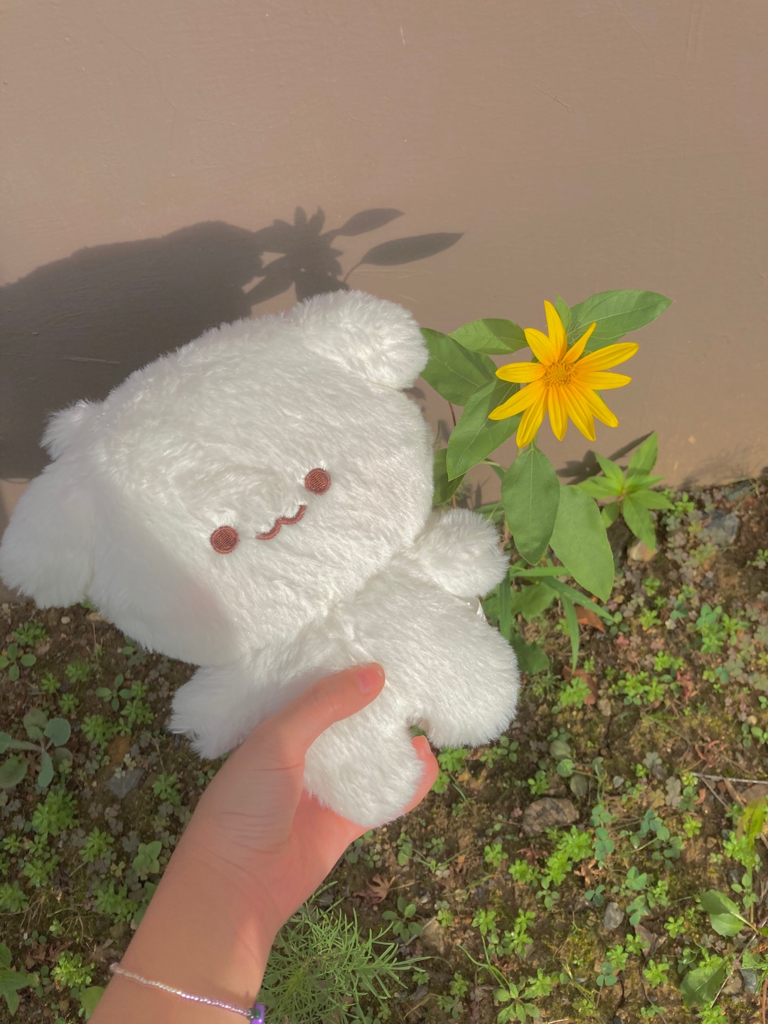𝚏𝚕𝚘𝚠𝚎𝚛🌼