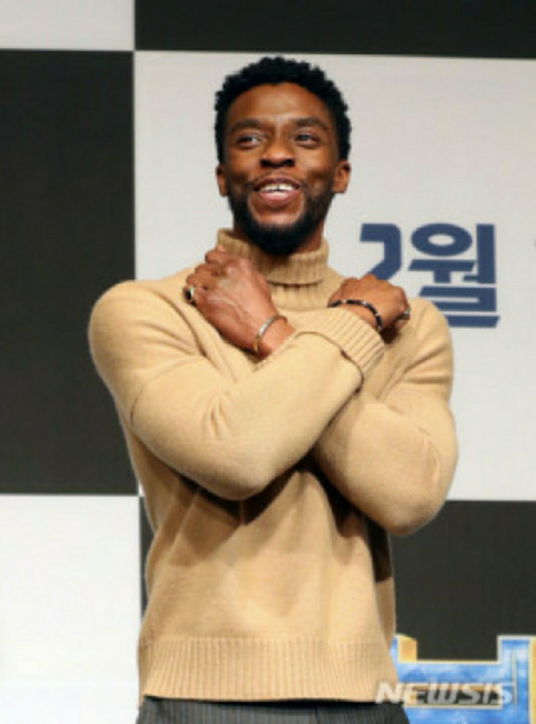 블랙팬서
채드윅 보스만
삼가고인의 명복을 빕니다