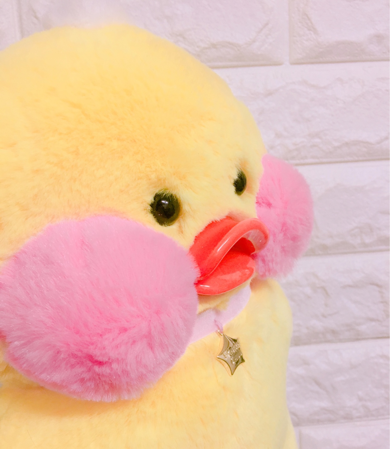 🐤