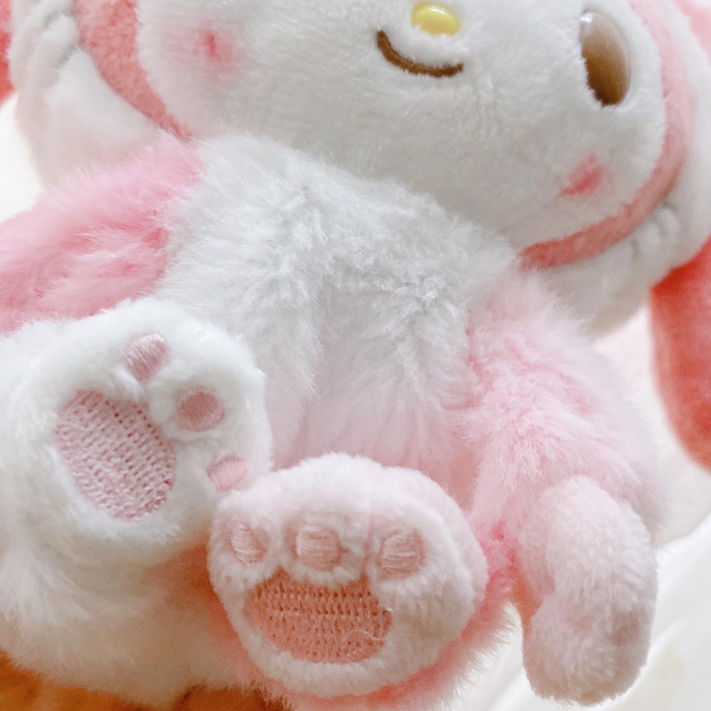네코마멜🐈