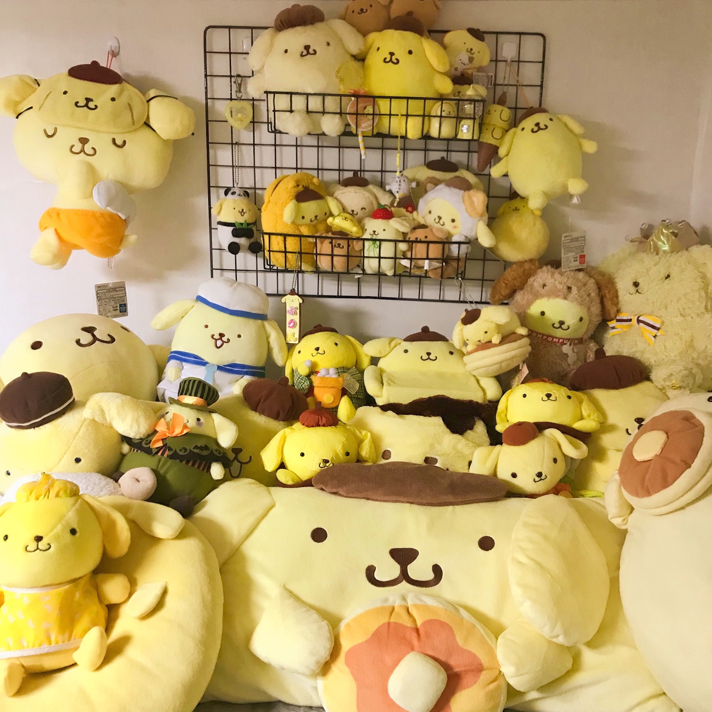 푸린존💛