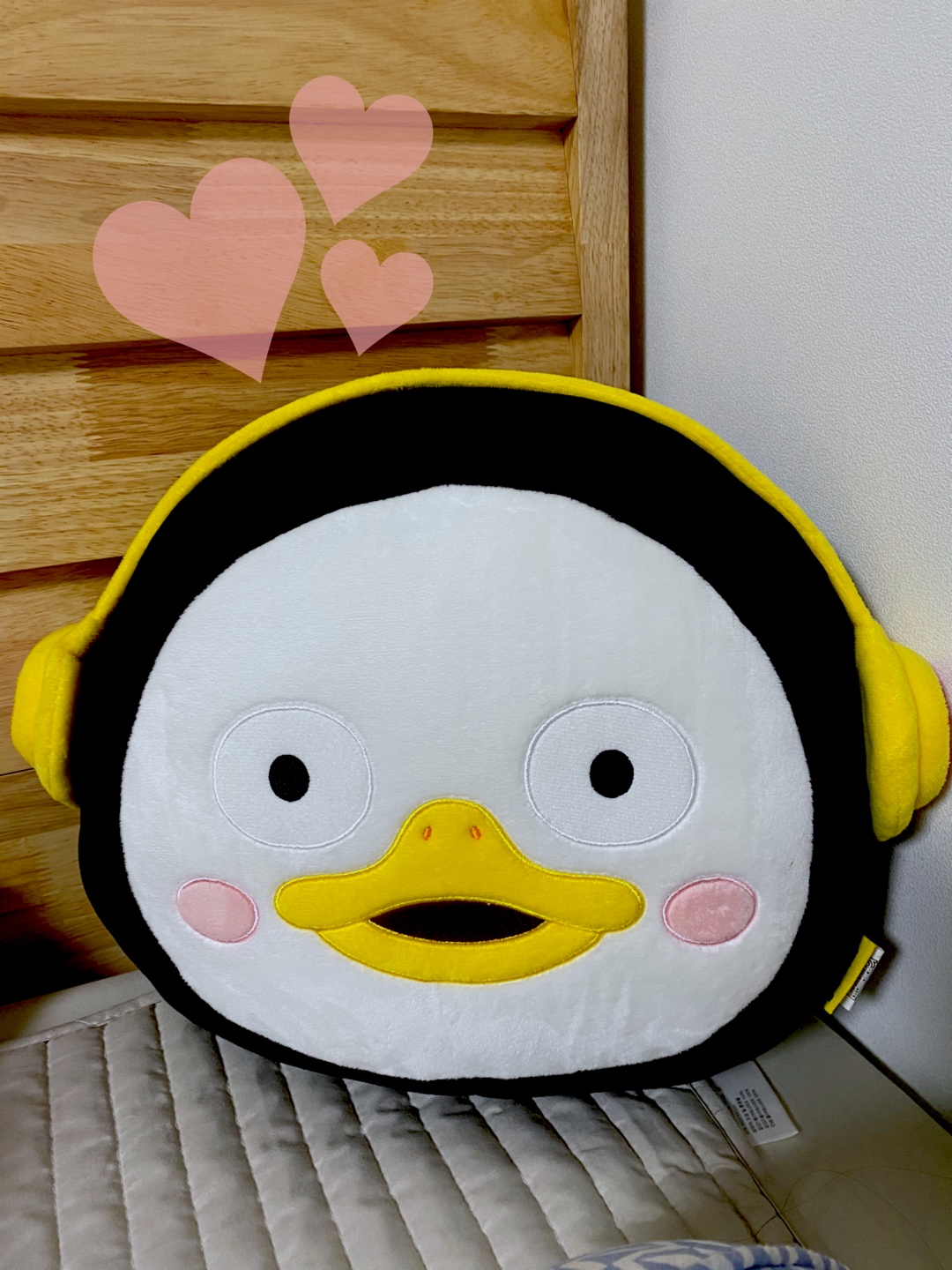 펭수 쿠션🐧