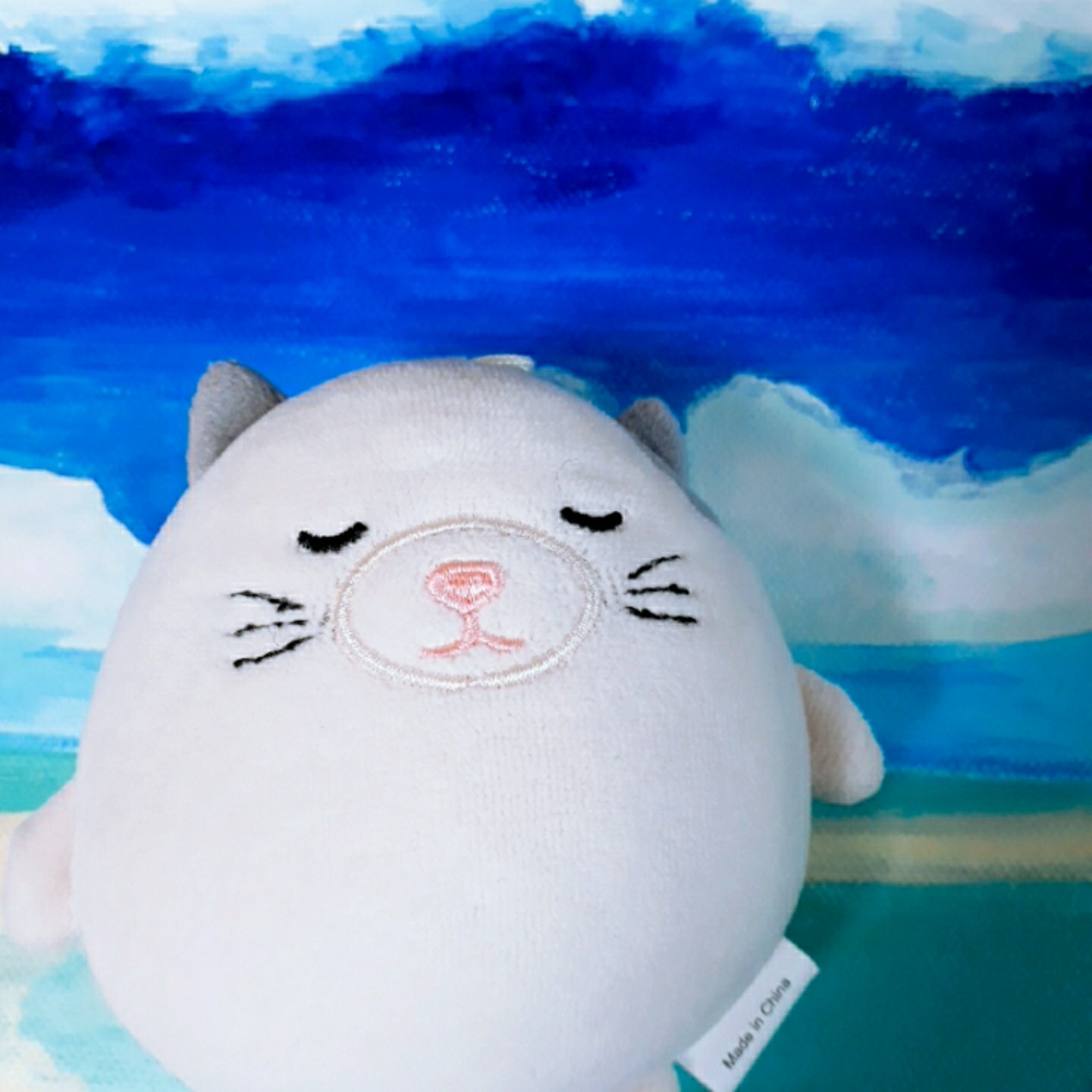 다*소 꼬양이