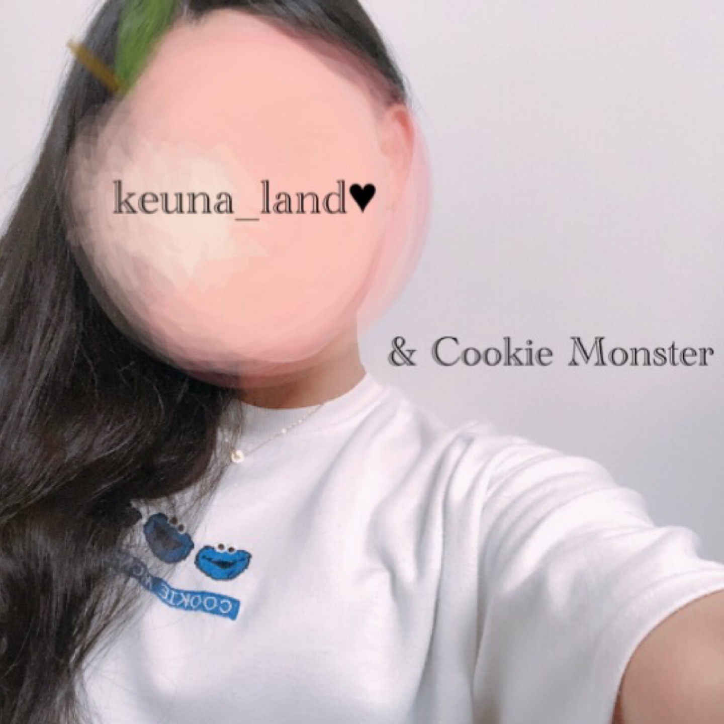 🍪ⓒⓞⓞⓚⓘⓔ ⓜⓞⓝⓢⓣⓔⓡ 🍪