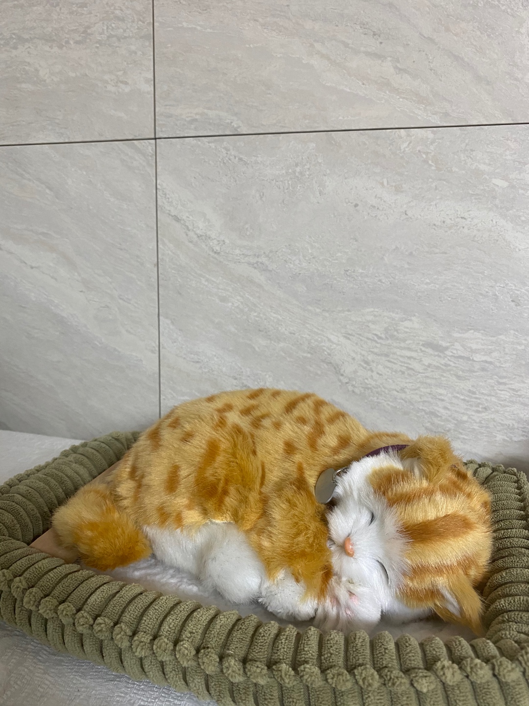 가릉가릉 소리도 나요😸