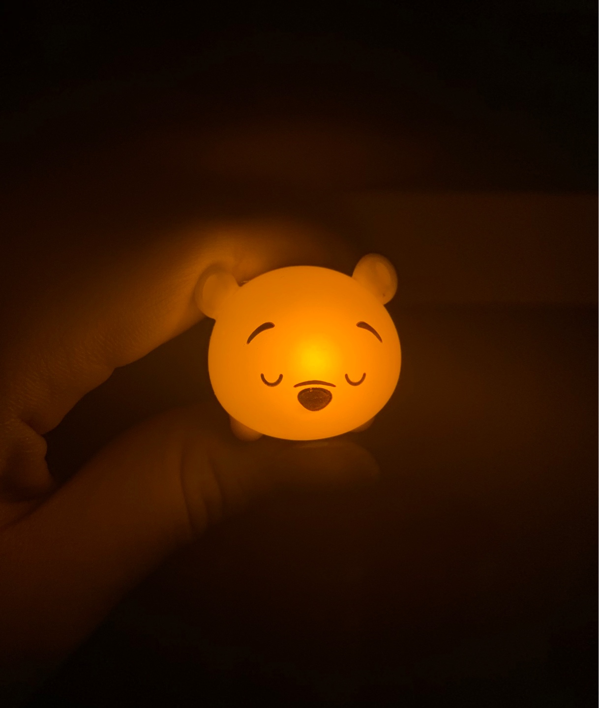 일본갔을때 가챠에서 뽑은 푸🧡💛
