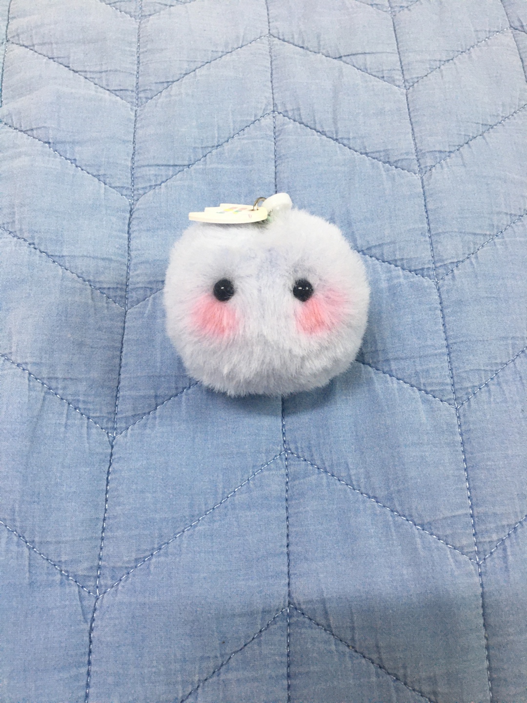 블루마리몽