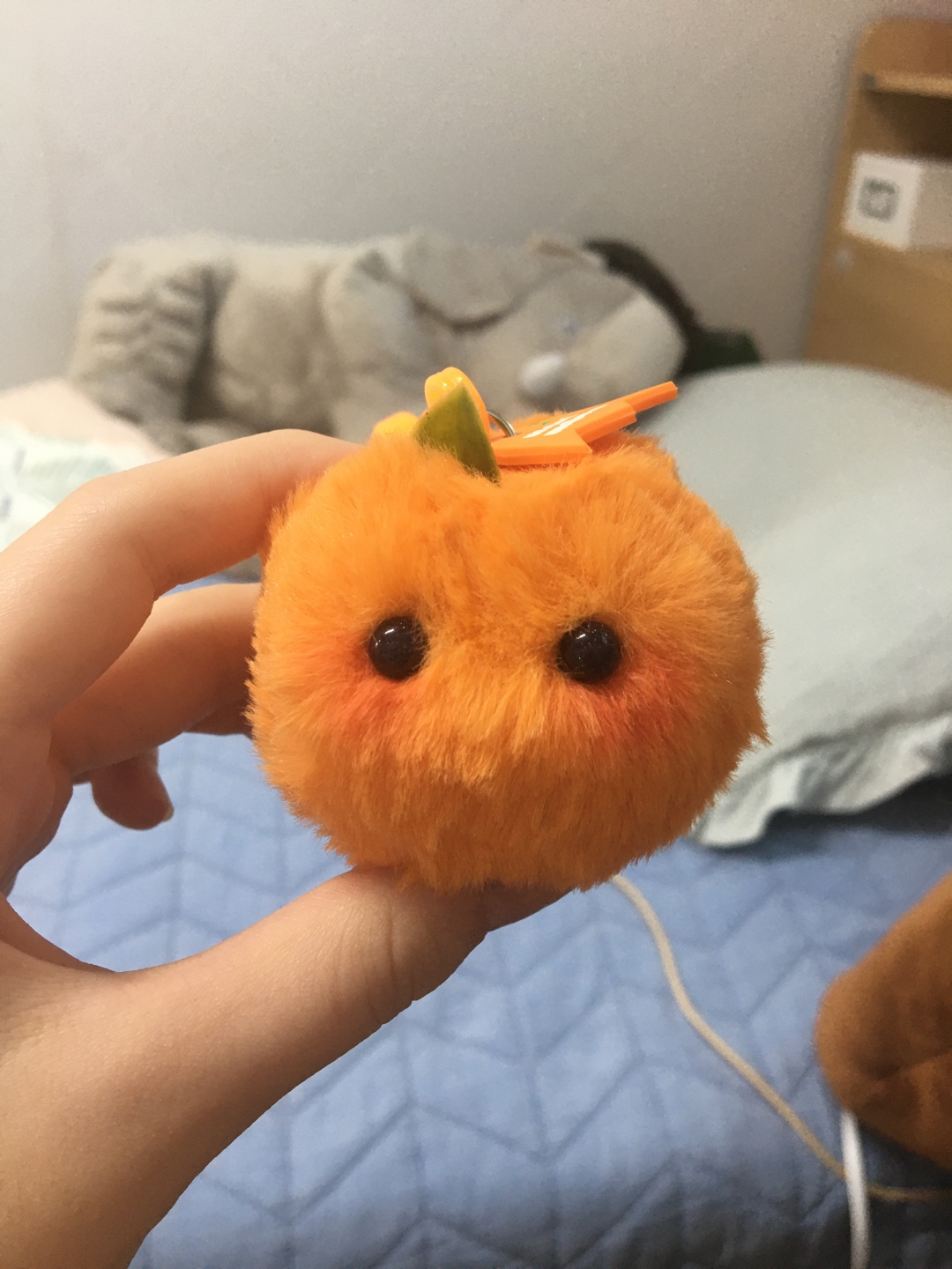 ★귤마리몽★