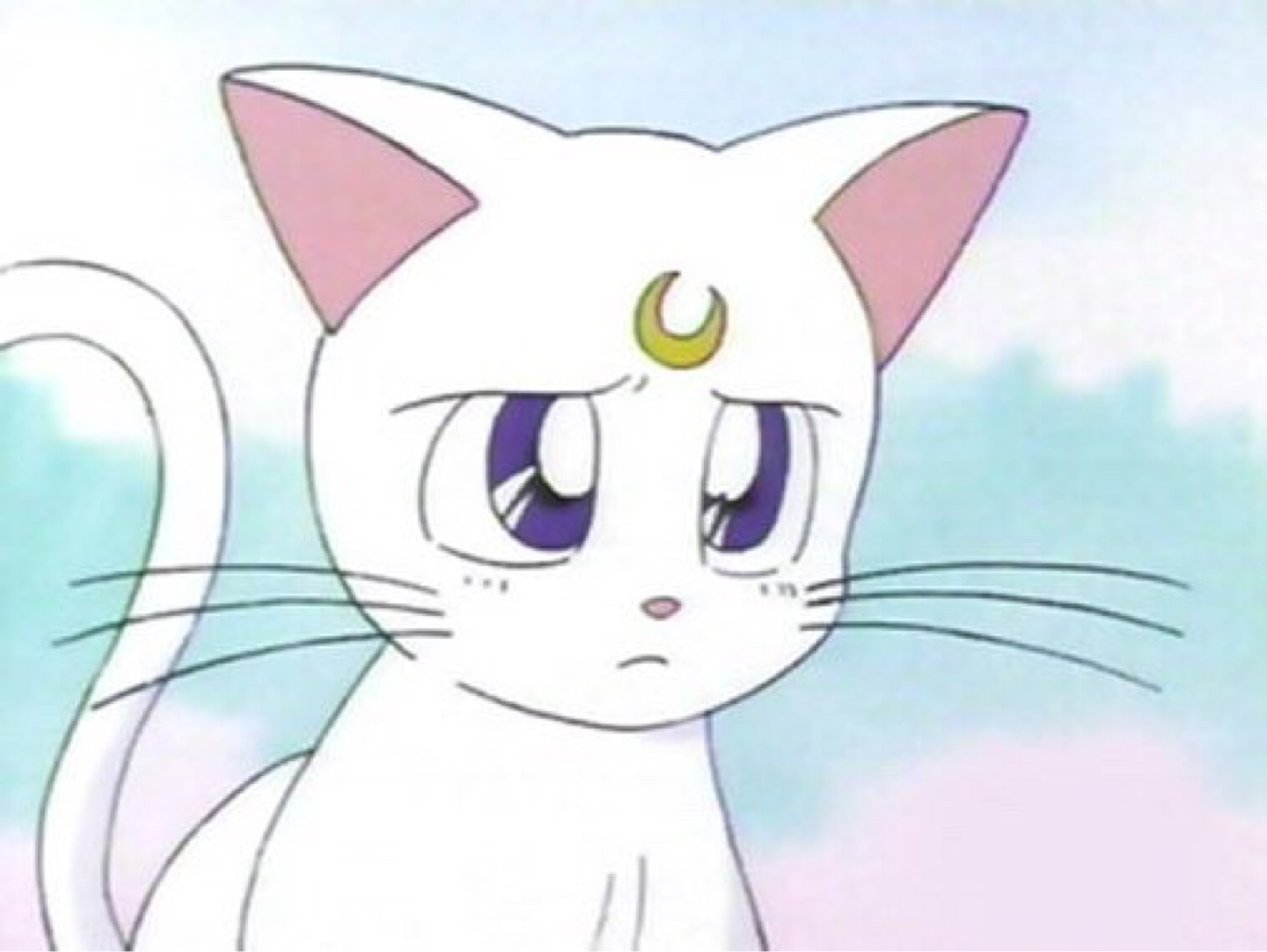 🌙