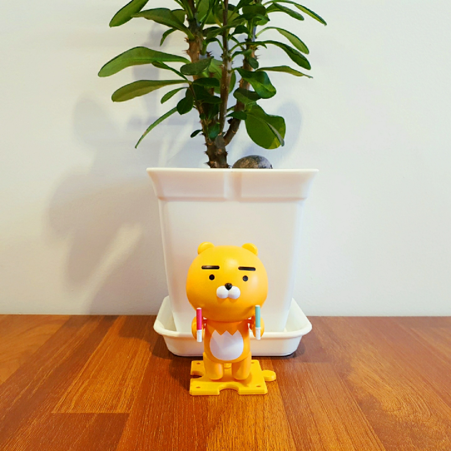 카카오 조와 2