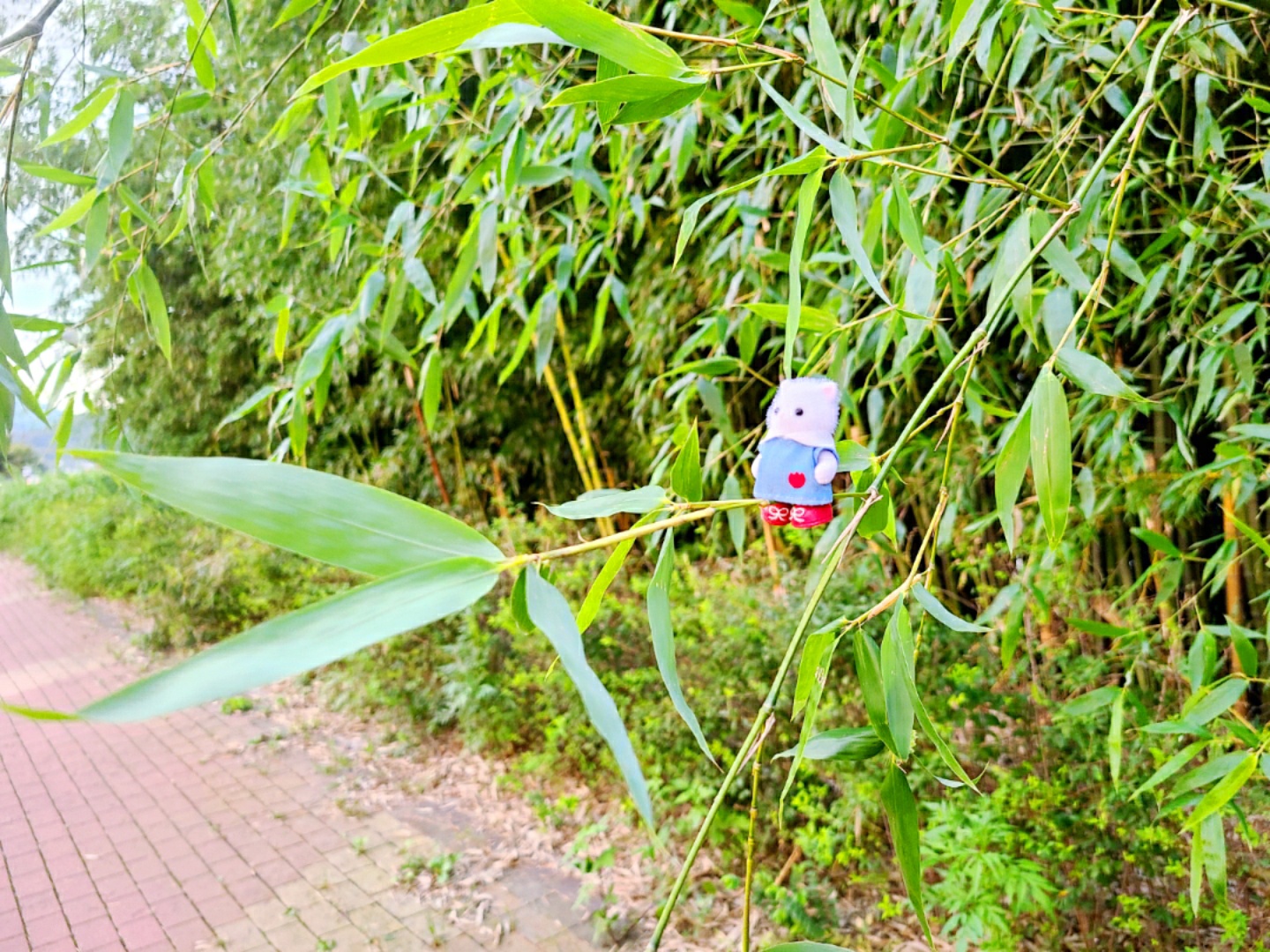 가을이면 가을바람