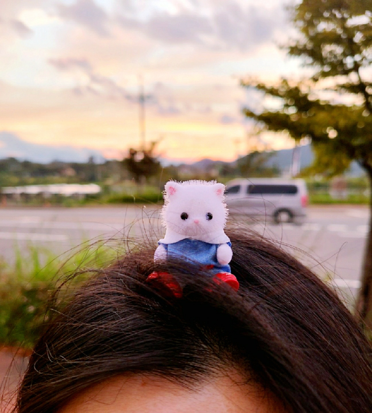 서열정리