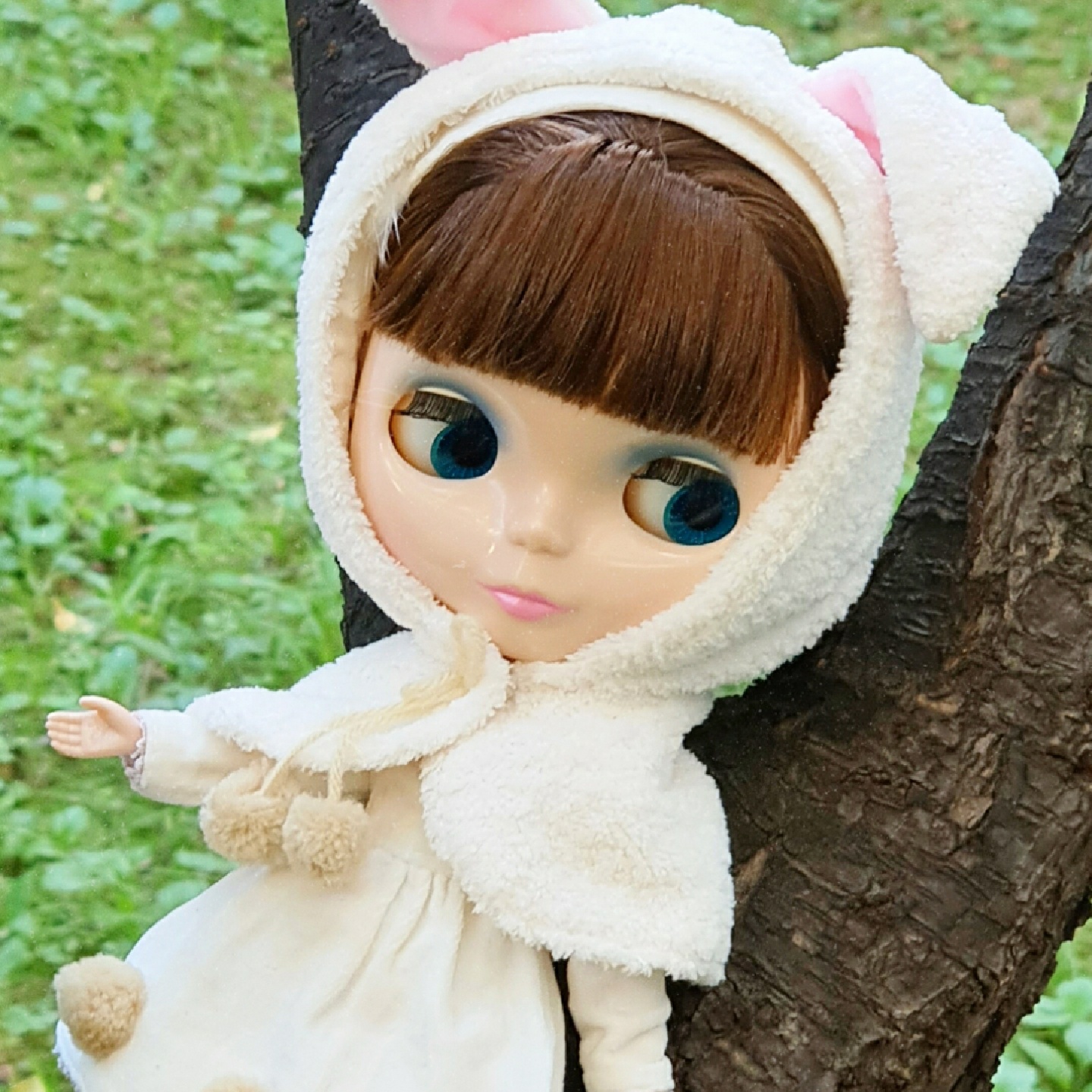 내 토깽이 벨벳 ♡