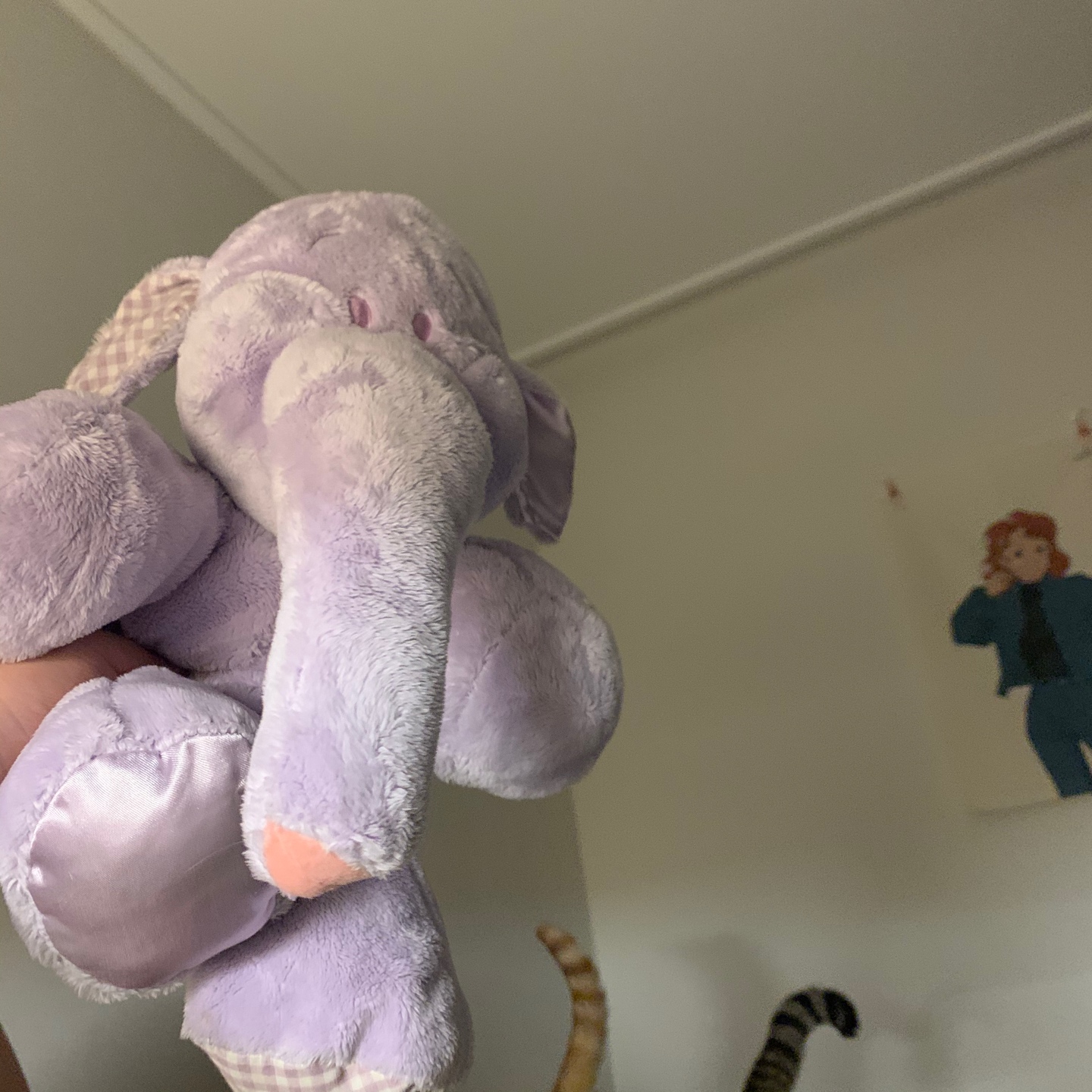 나의 보라럼피 💜🐘💜