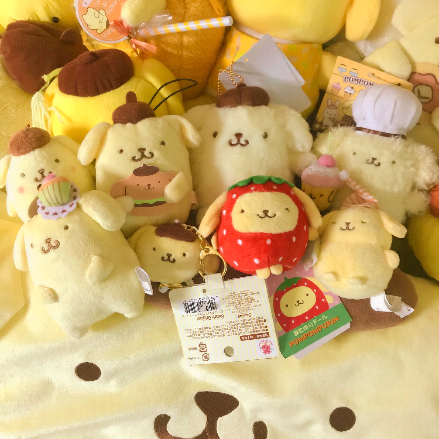 오늘 받은 푸린이들💛
