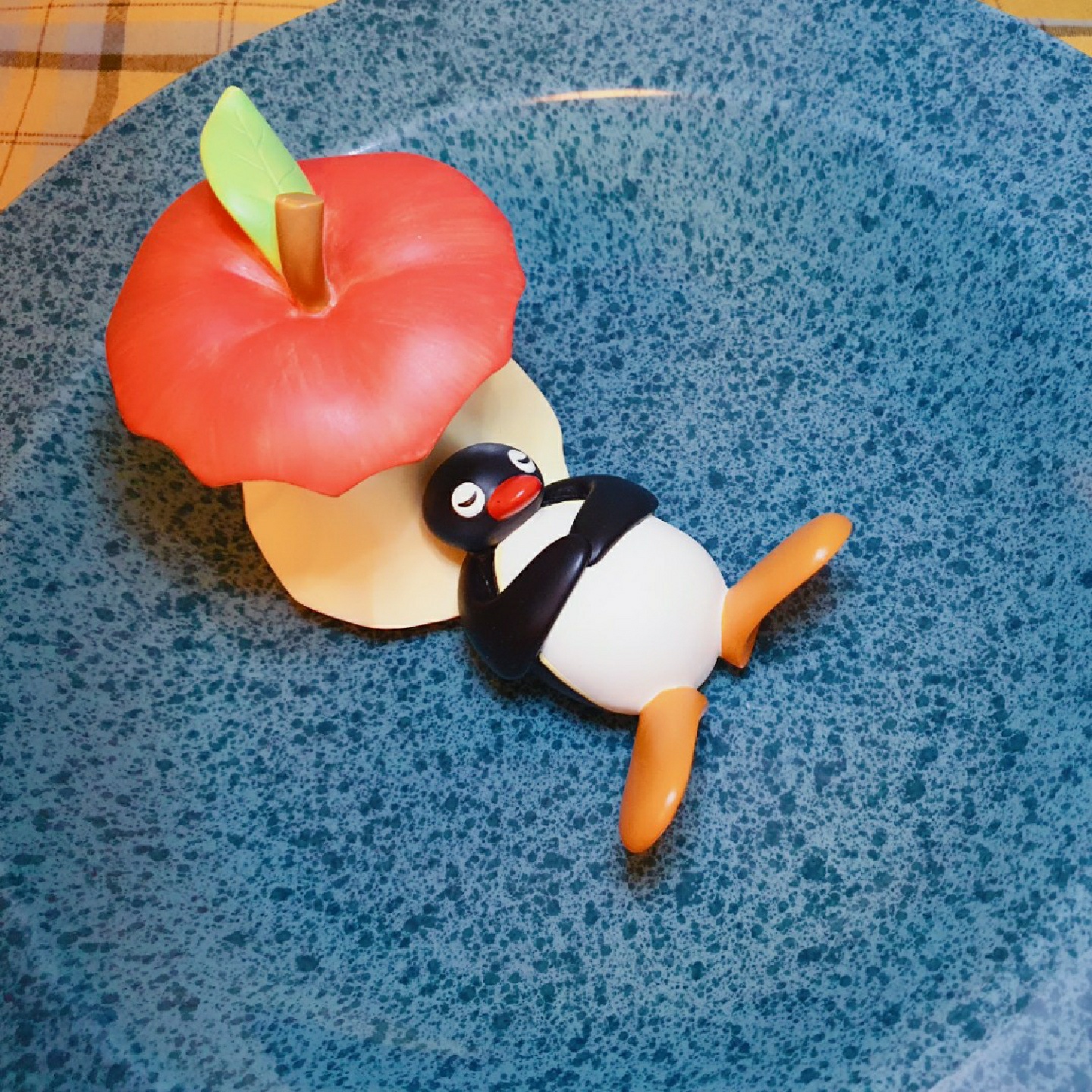 🍎🐧 새로 왔어요
