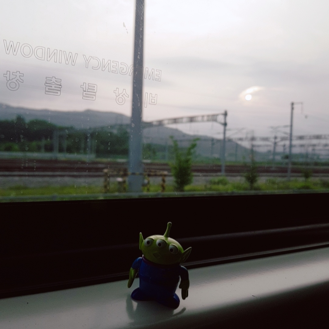메타코레 알린이