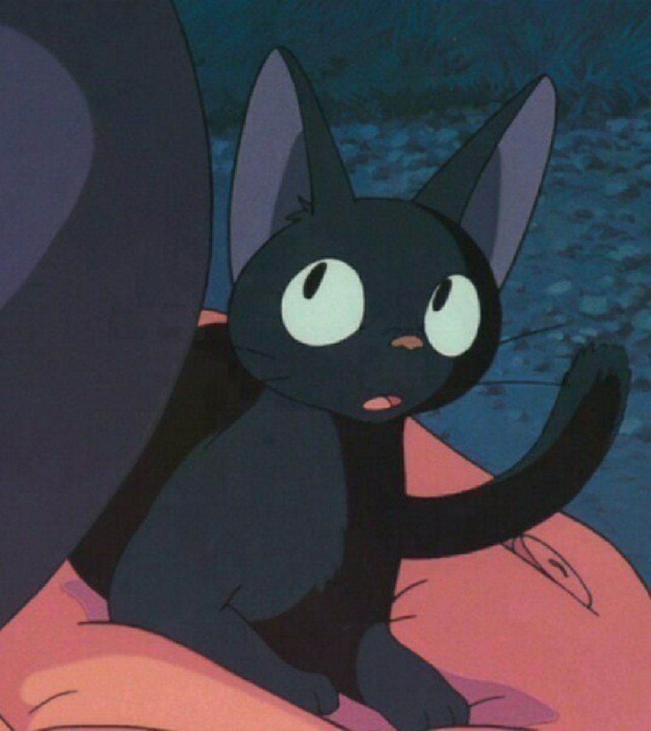 지지