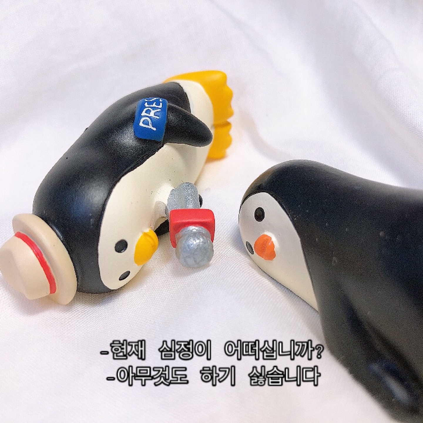 데꼴 펭귄즈