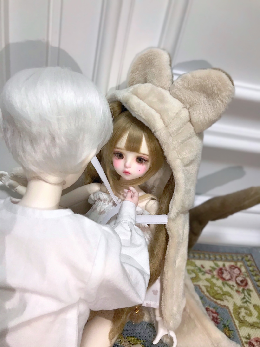 너구리소녀