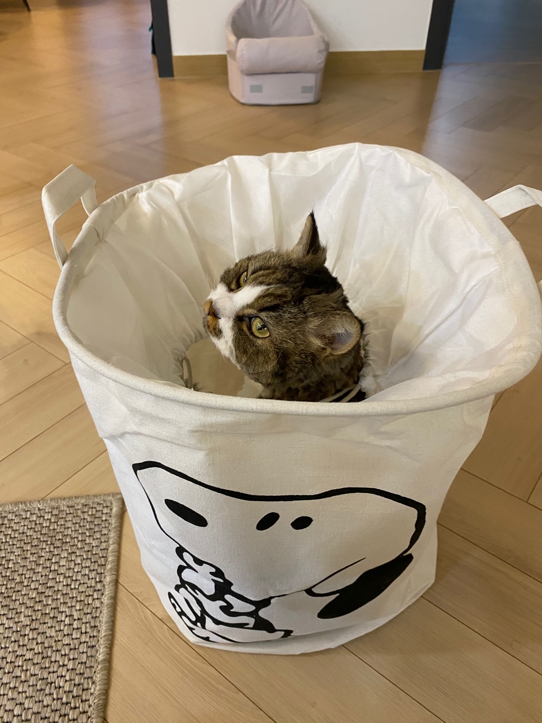 스누피 빨래 바구니🤍