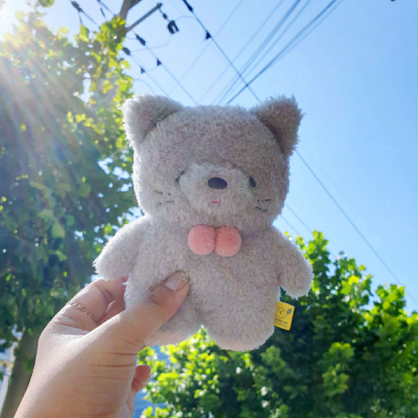 탓똔♡
