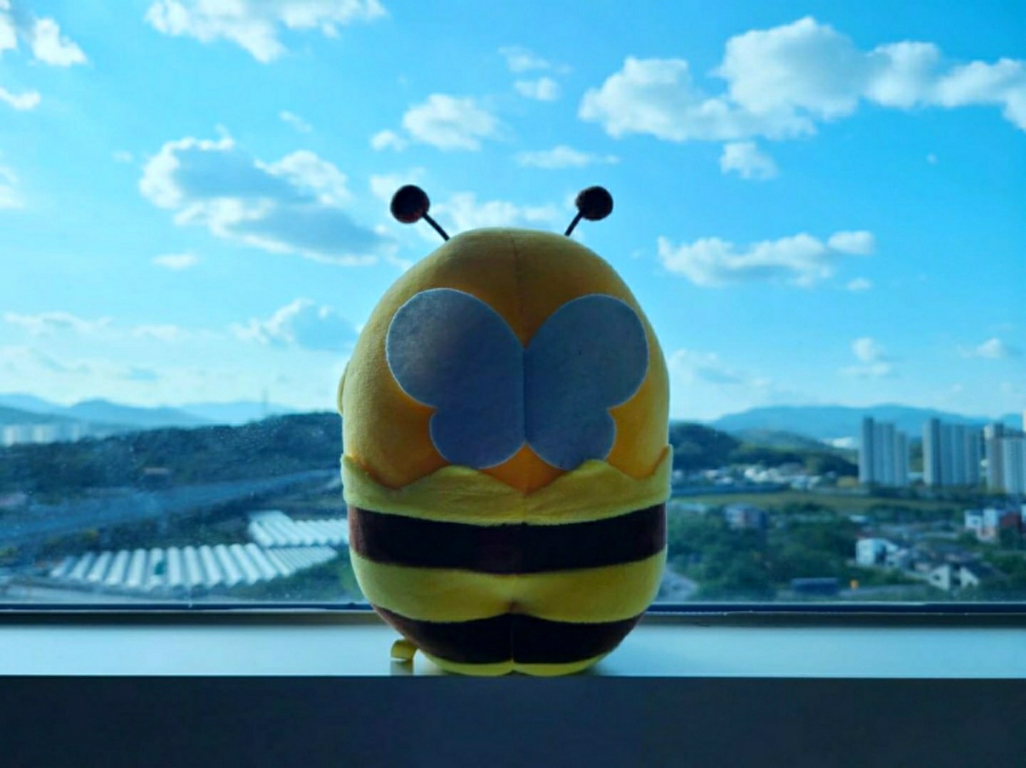 🌼꿀벌의 비행🌼