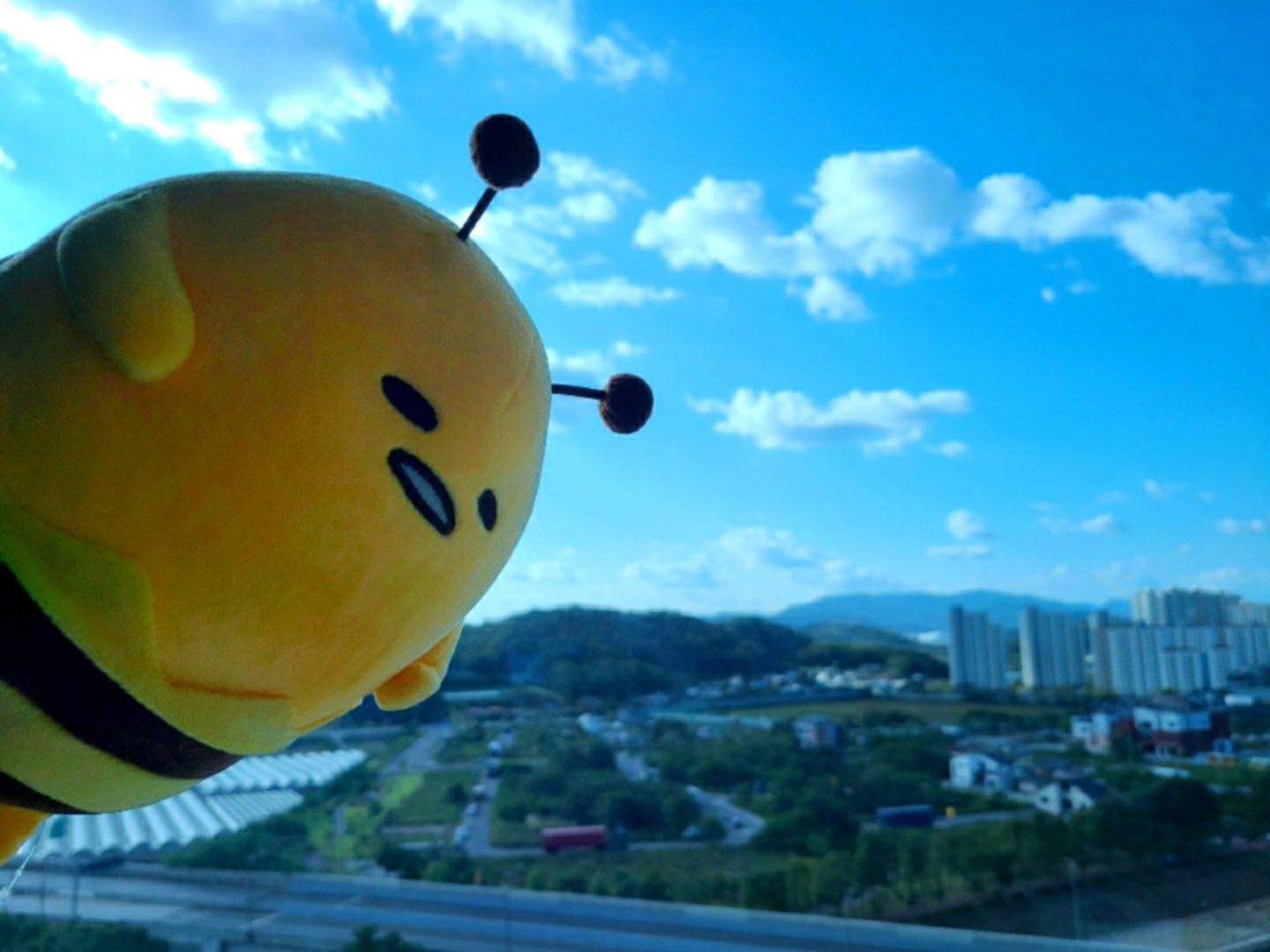 🌼꿀벌의 비행🌼