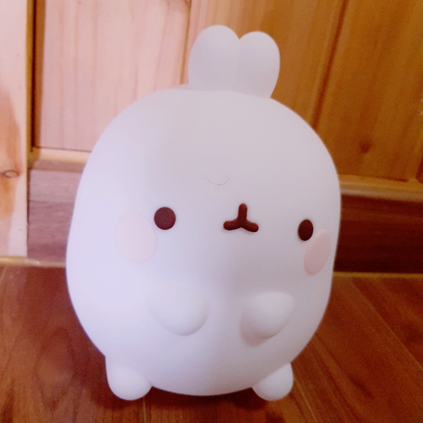 몰랑이 무드등