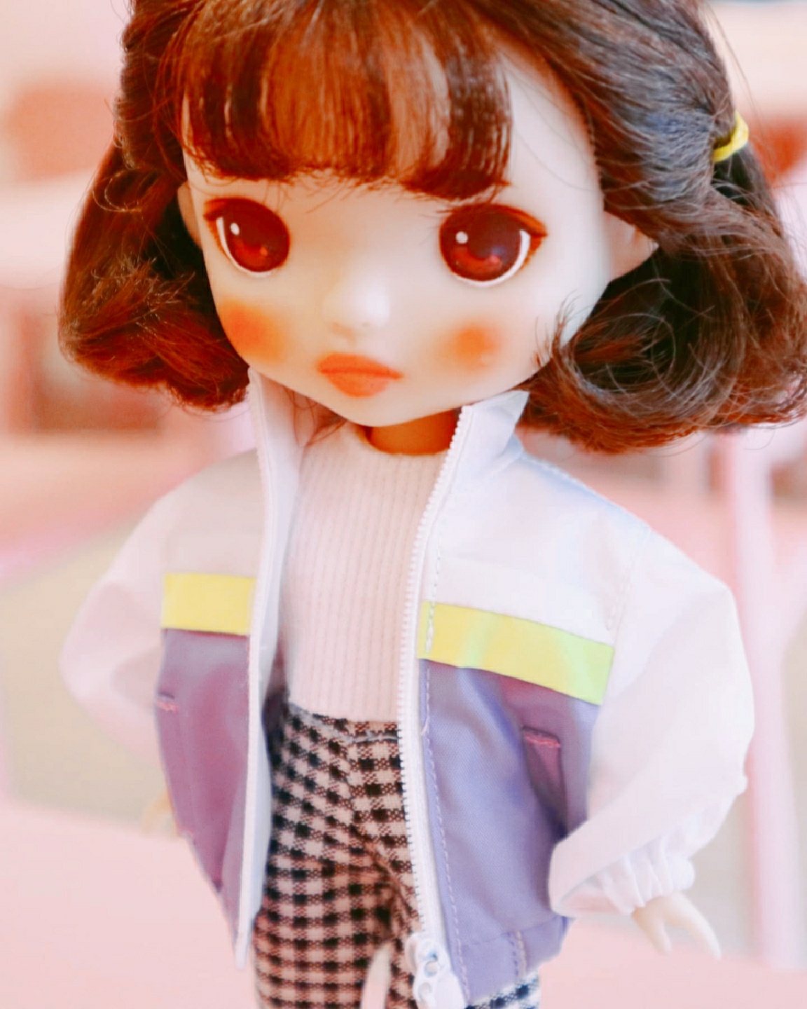 벨라보니카 달리아❤
