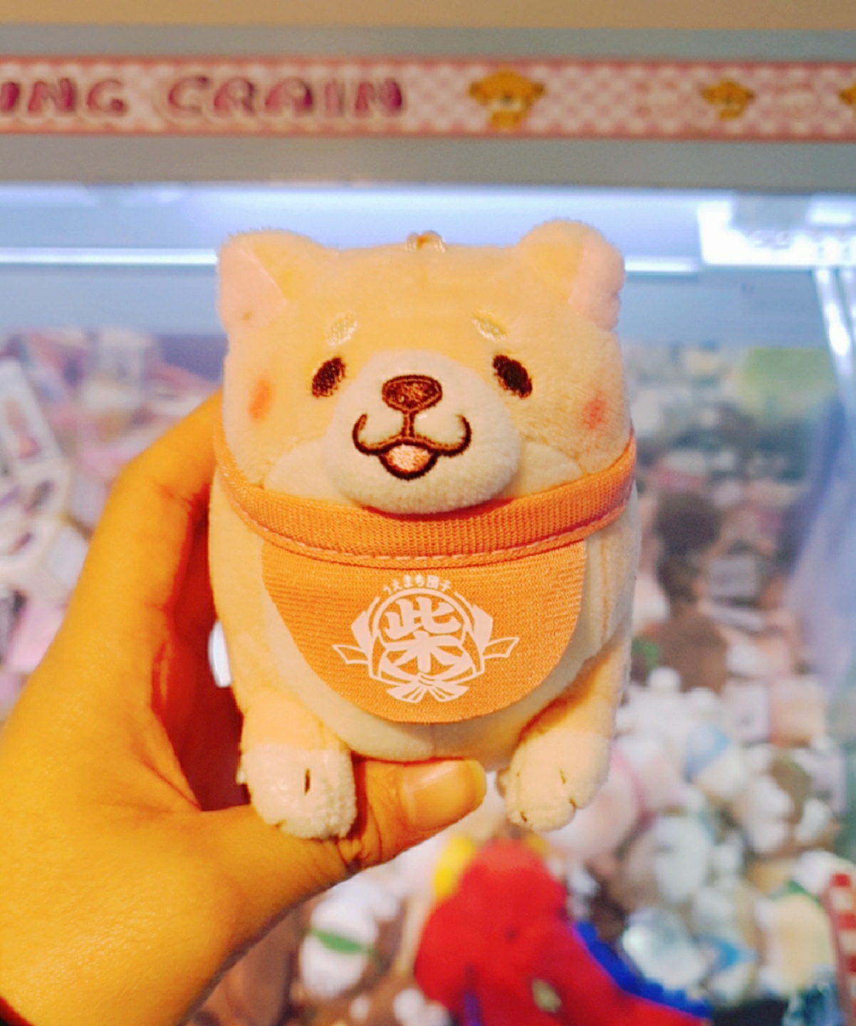 💘핑크도기