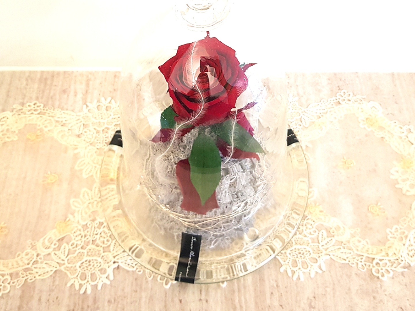 랜선 공간 투어 다섯번째 🌹 미녀와 야수
