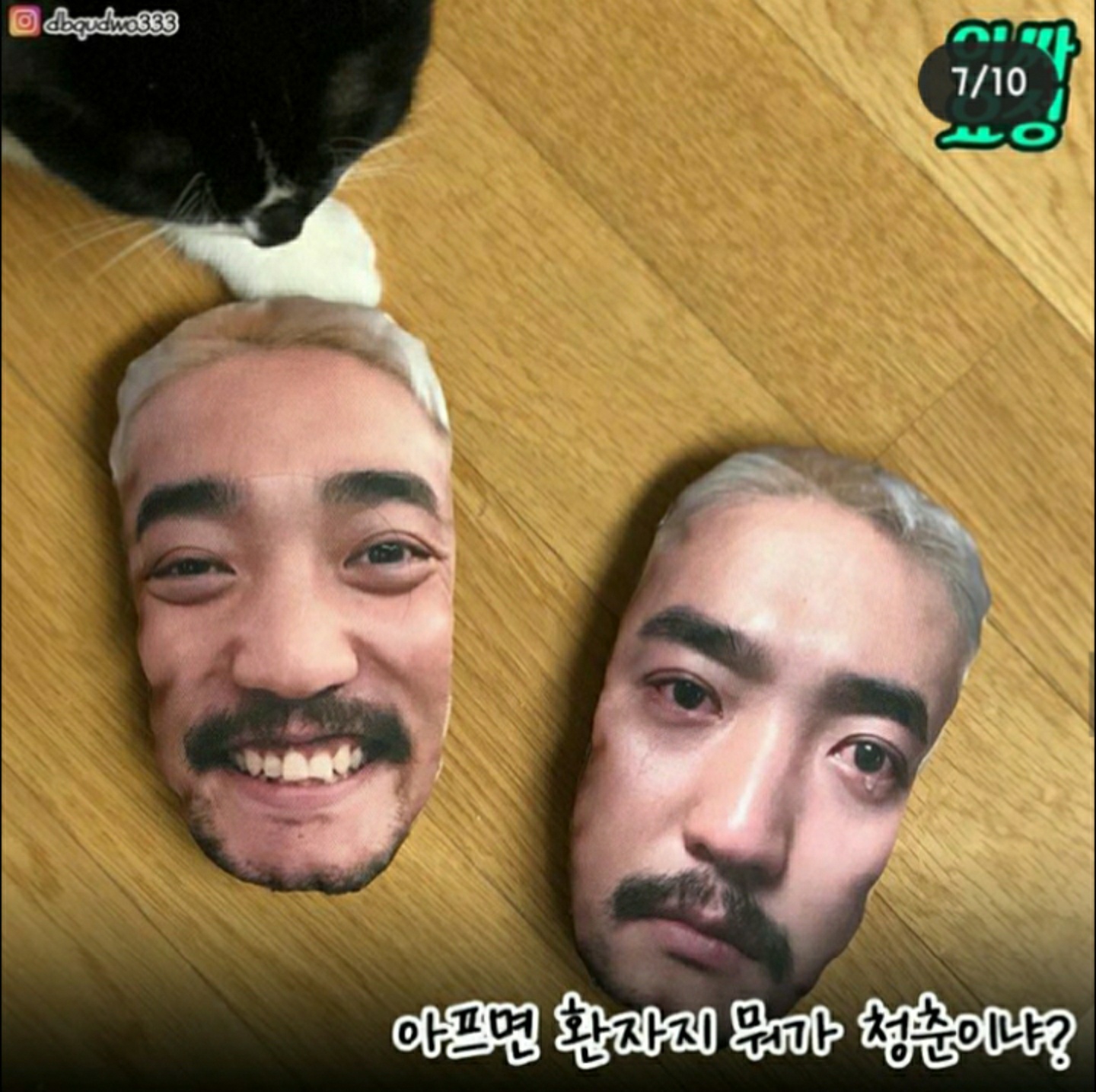 청춘은 아닌가....