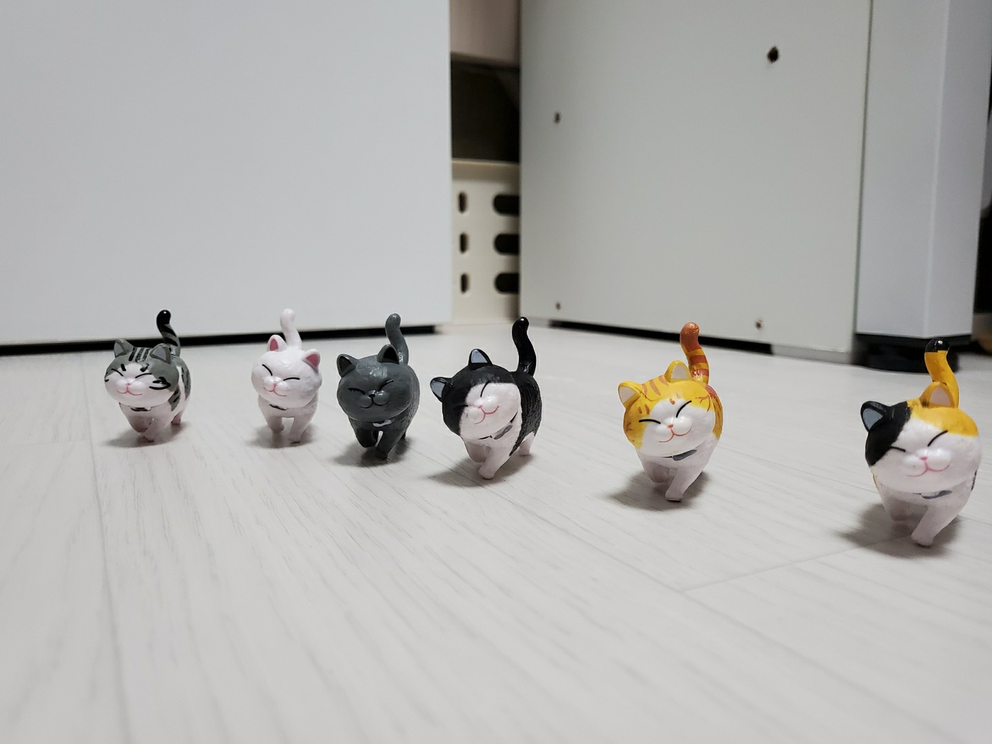 고양이아가들 수집중