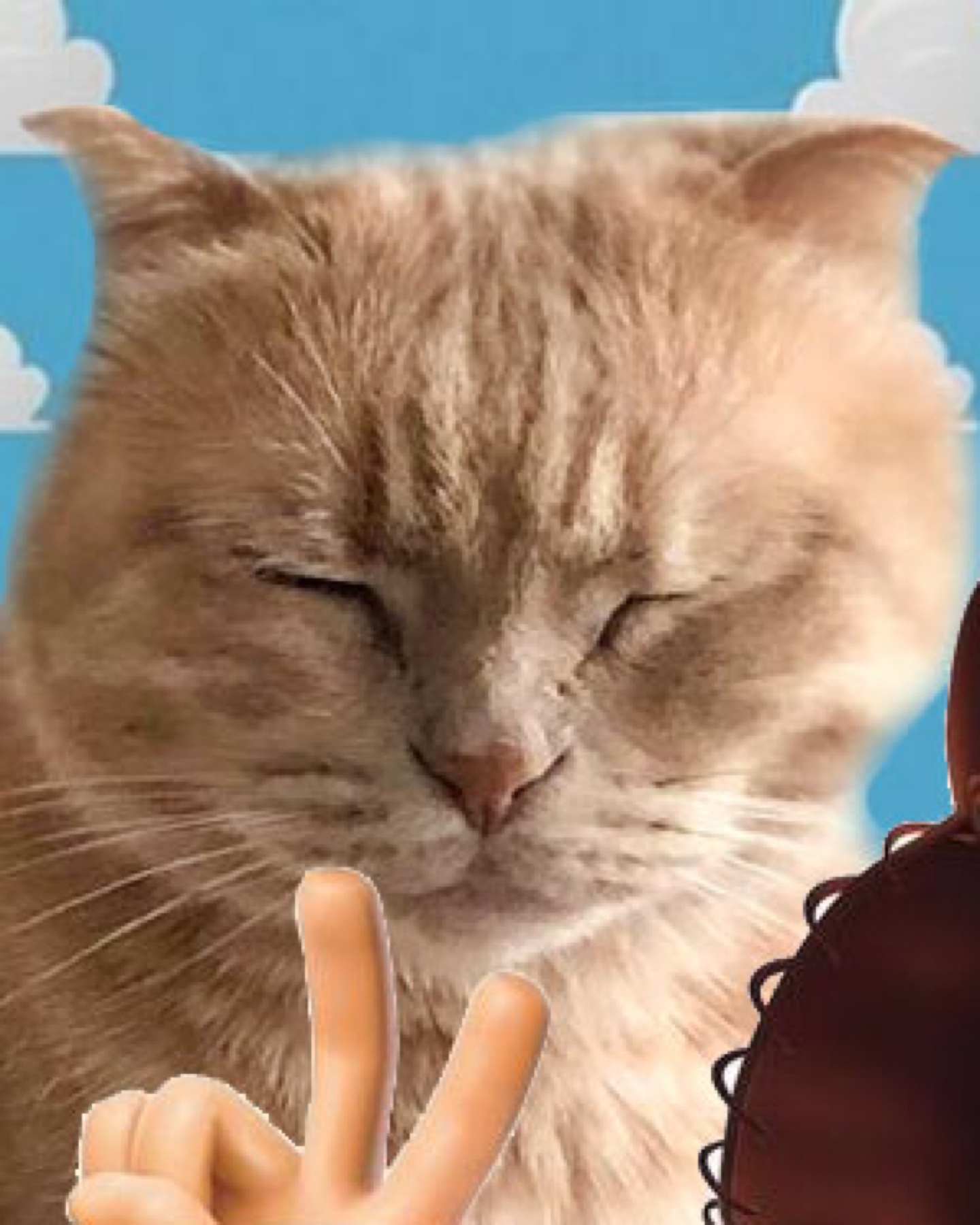 치이즈~~🐈