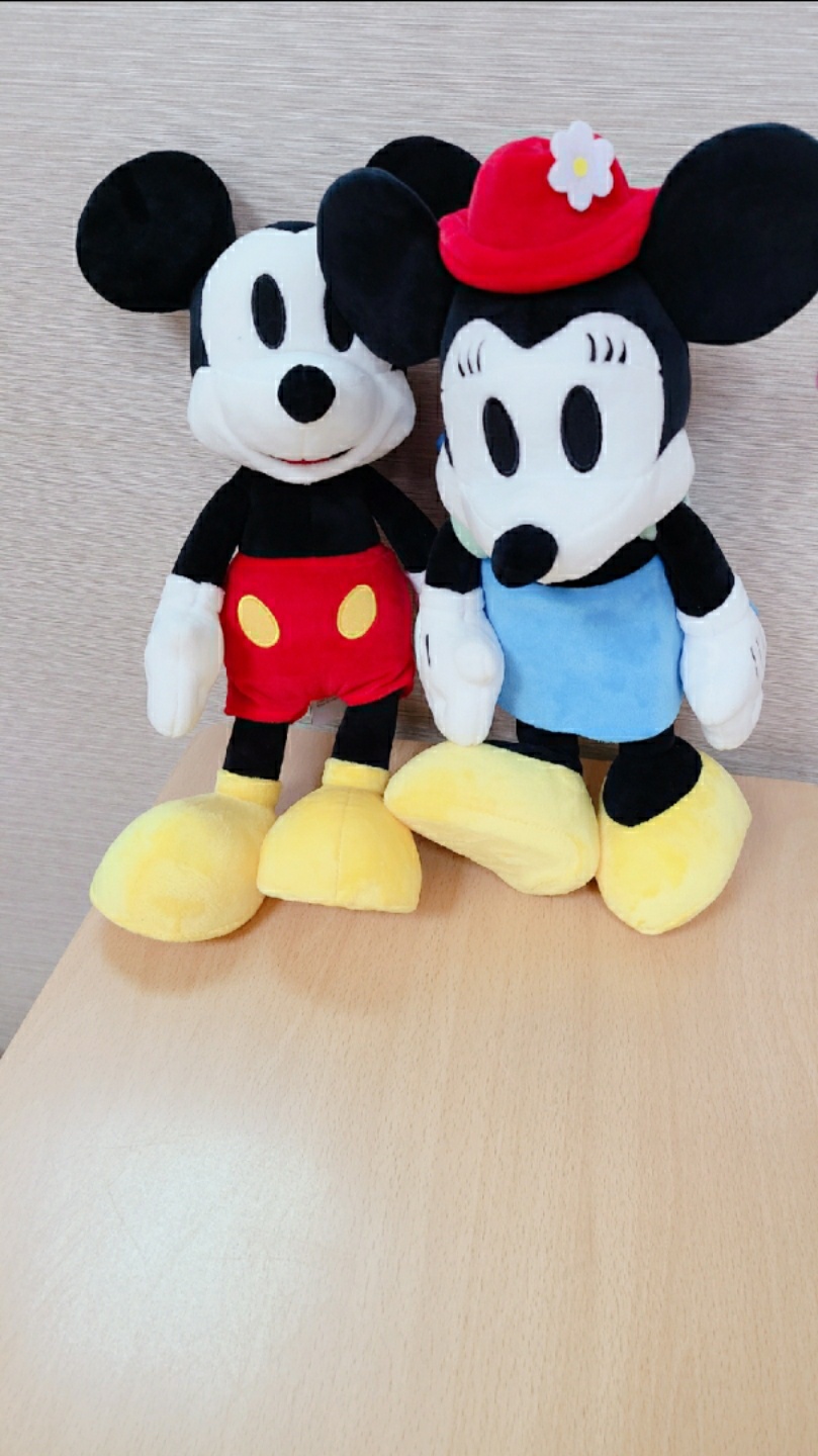 미키 마우스 & 미니 마우스